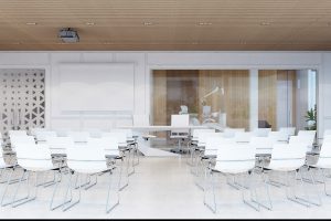 Sala de Conferință