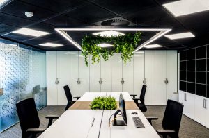 design interior oficiu