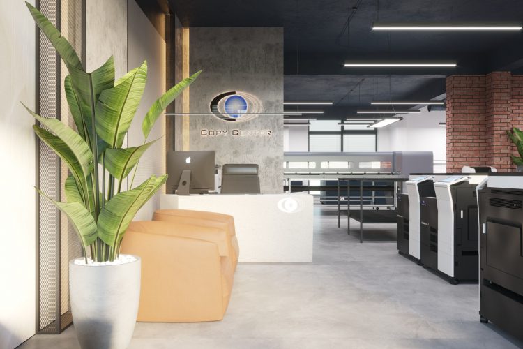 amenajare zona de receptie